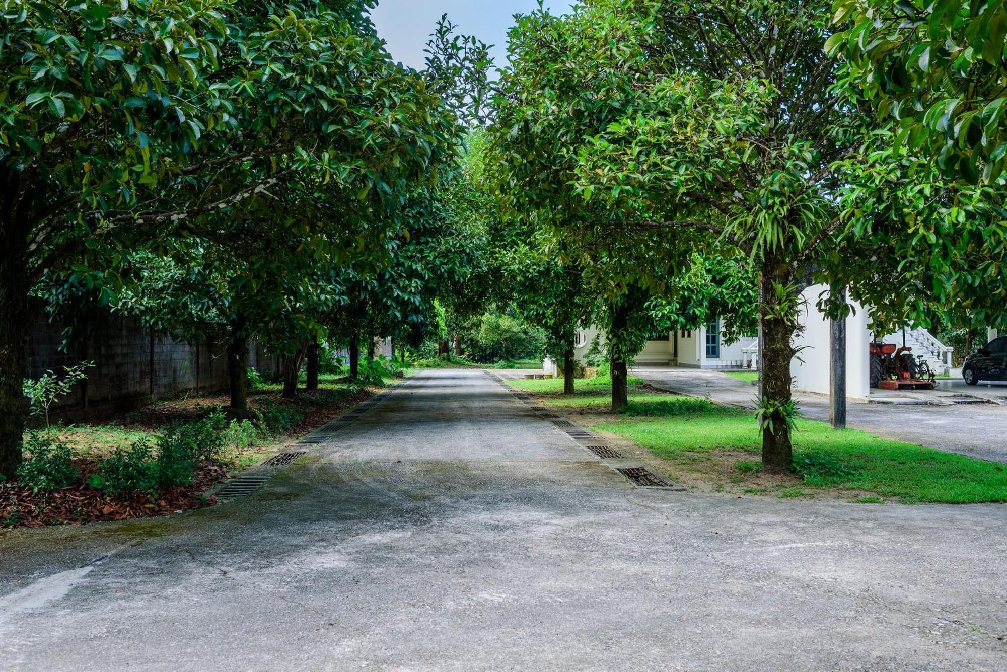 Вилла Bann Mangkud Khaolak Кхаулак Экстерьер фото